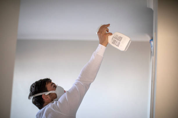 Best Residential Mold Remediation in Renville, MN