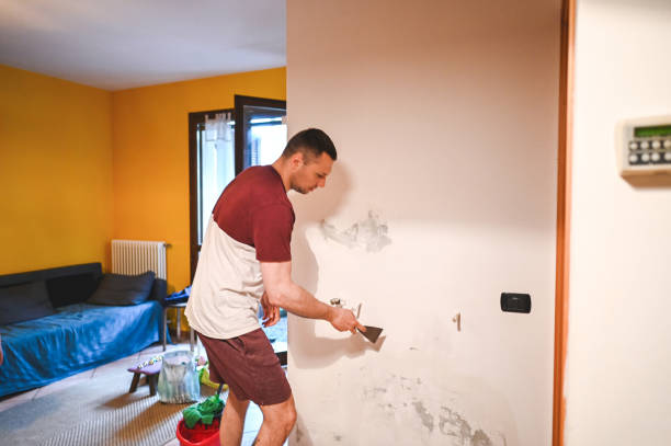 Best DIY Mold Remediation Support Services in Renville, MN